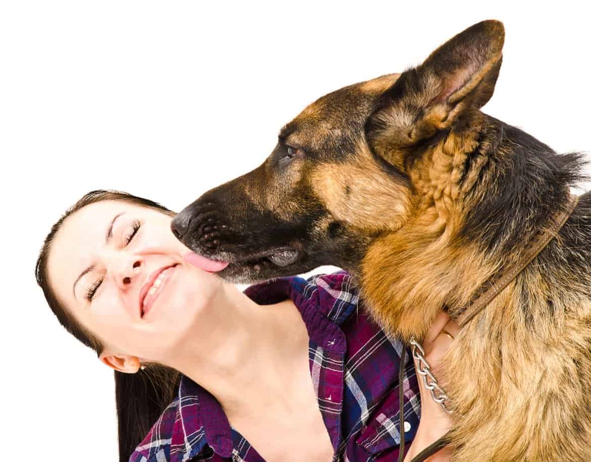 Why does my dog lick me?