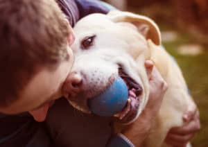 dog with ball in mouth