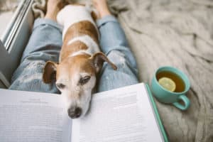 Napping dog and book.