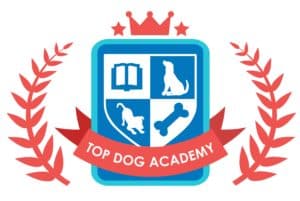 Top Dog Academy training
