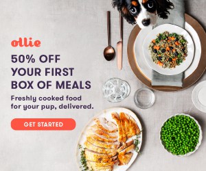 ollie dog food get 50% off first order link